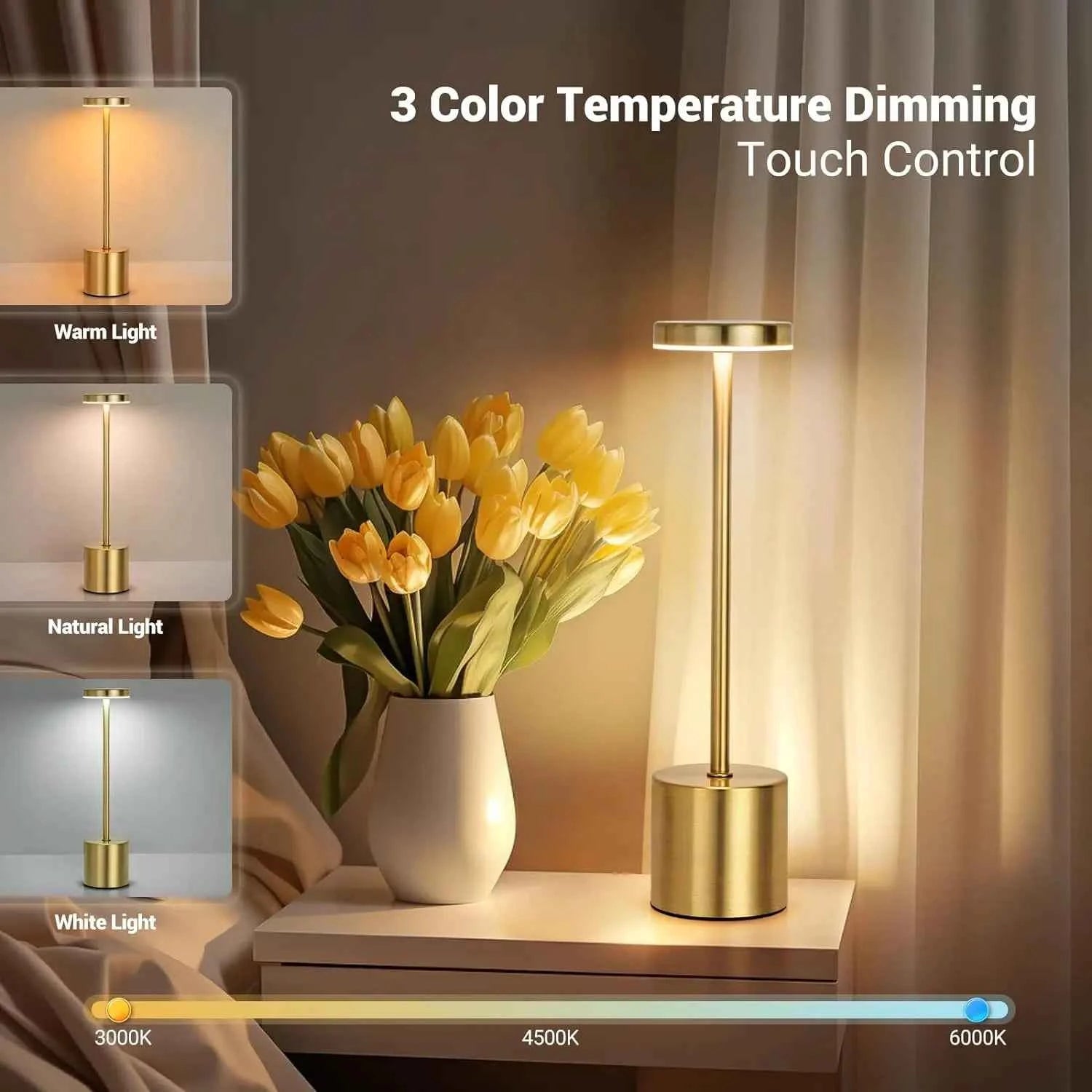 Rechargeable LED Touch Lamp